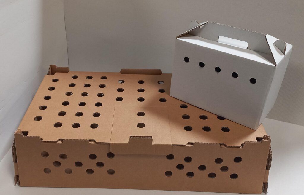 Transportín de cartón para el envío de aves de reclamo u otros animales vivos.